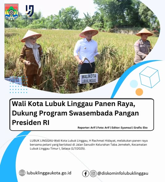 Wali Kota Lubuk Linggau Panen Raya, Dukung Program Swasembada Pangan Presiden RI