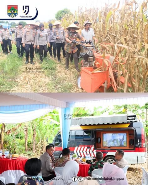 ‎Sekda Hadiri Panen Raya Jagung Serentak